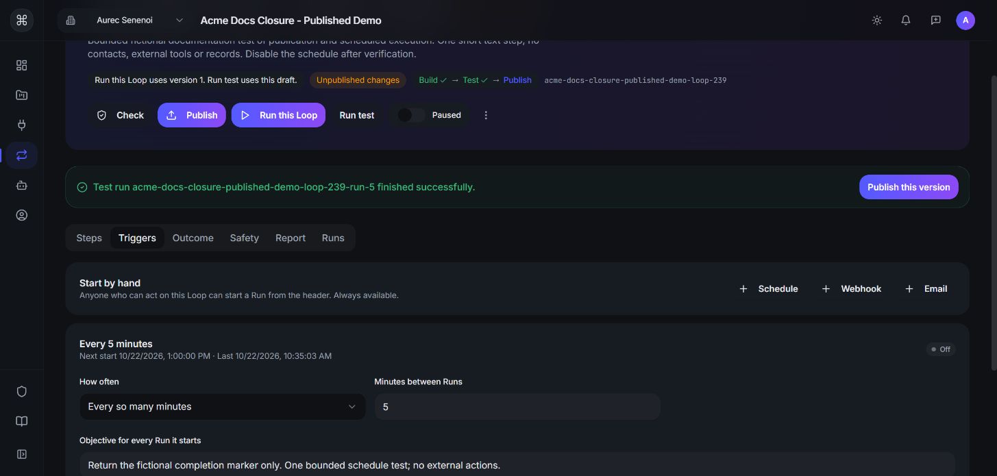 Five-minute setup with Loop Paused and schedule Off.